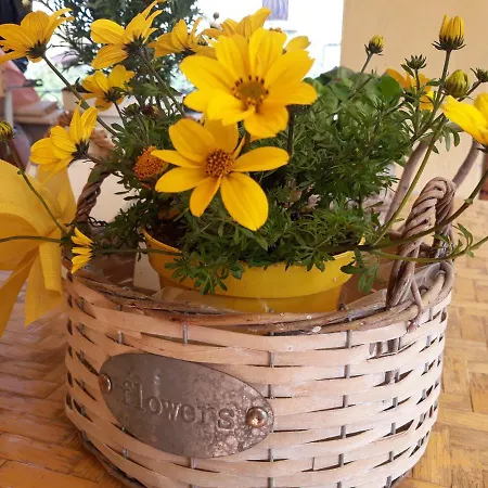 Flowery House Daire Roma