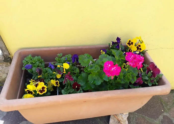 Flowery House Apartmán