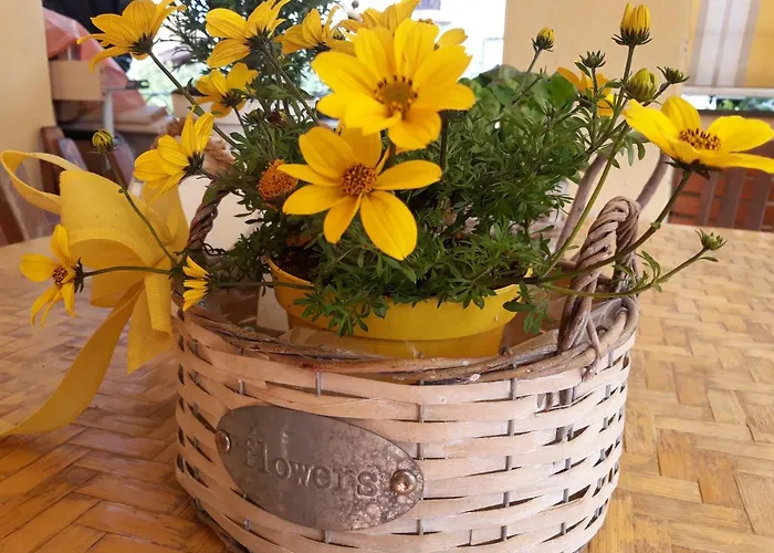 Flowery House Apartmán Řím